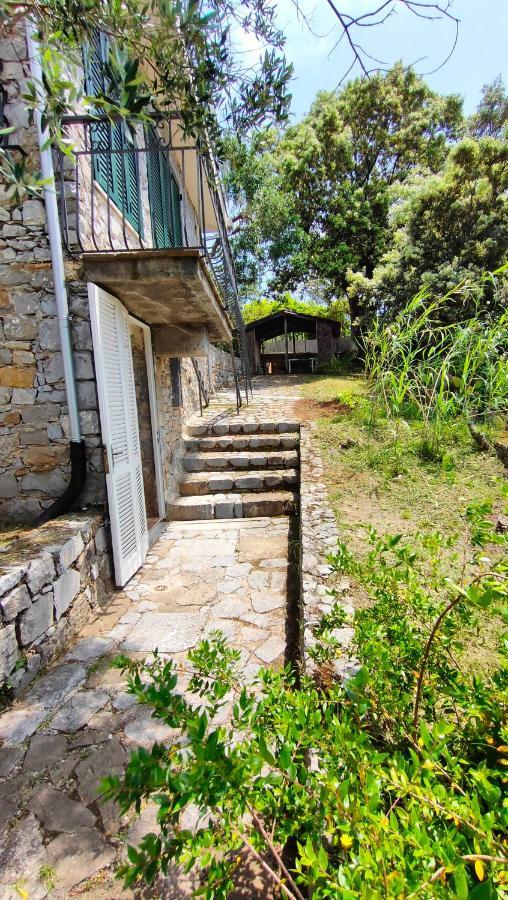 Villa Irma Marina di Camerota Exterior photo