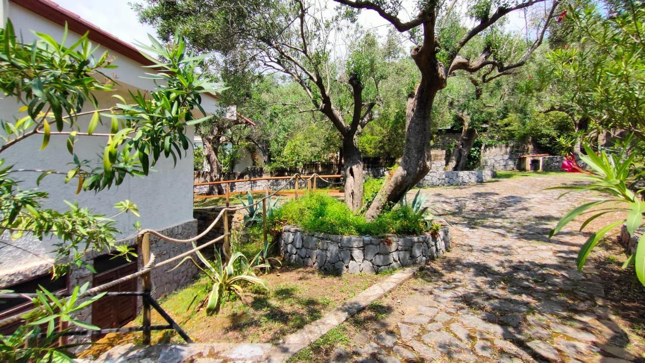 Villa Irma Marina di Camerota Exterior photo