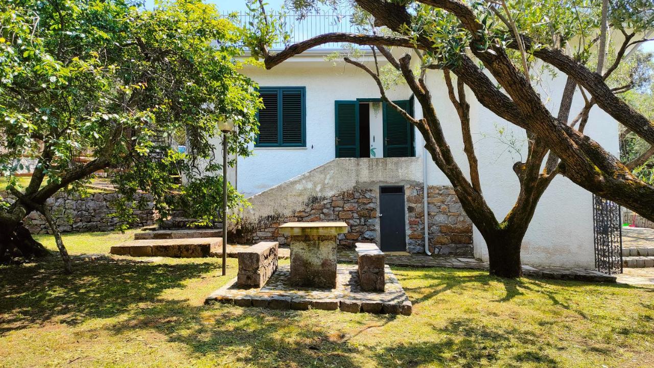 Villa Irma Marina di Camerota Exterior photo