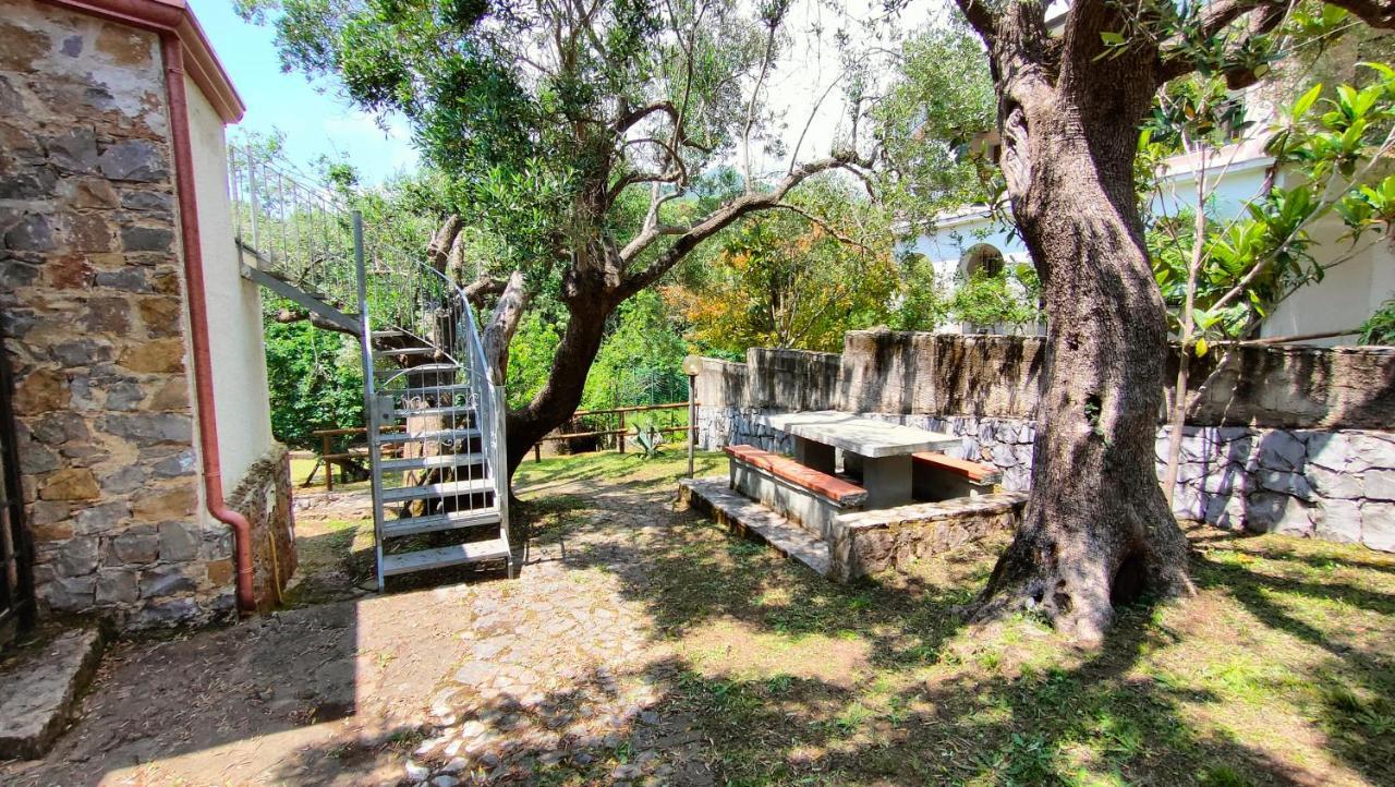 Villa Irma Marina di Camerota Exterior photo